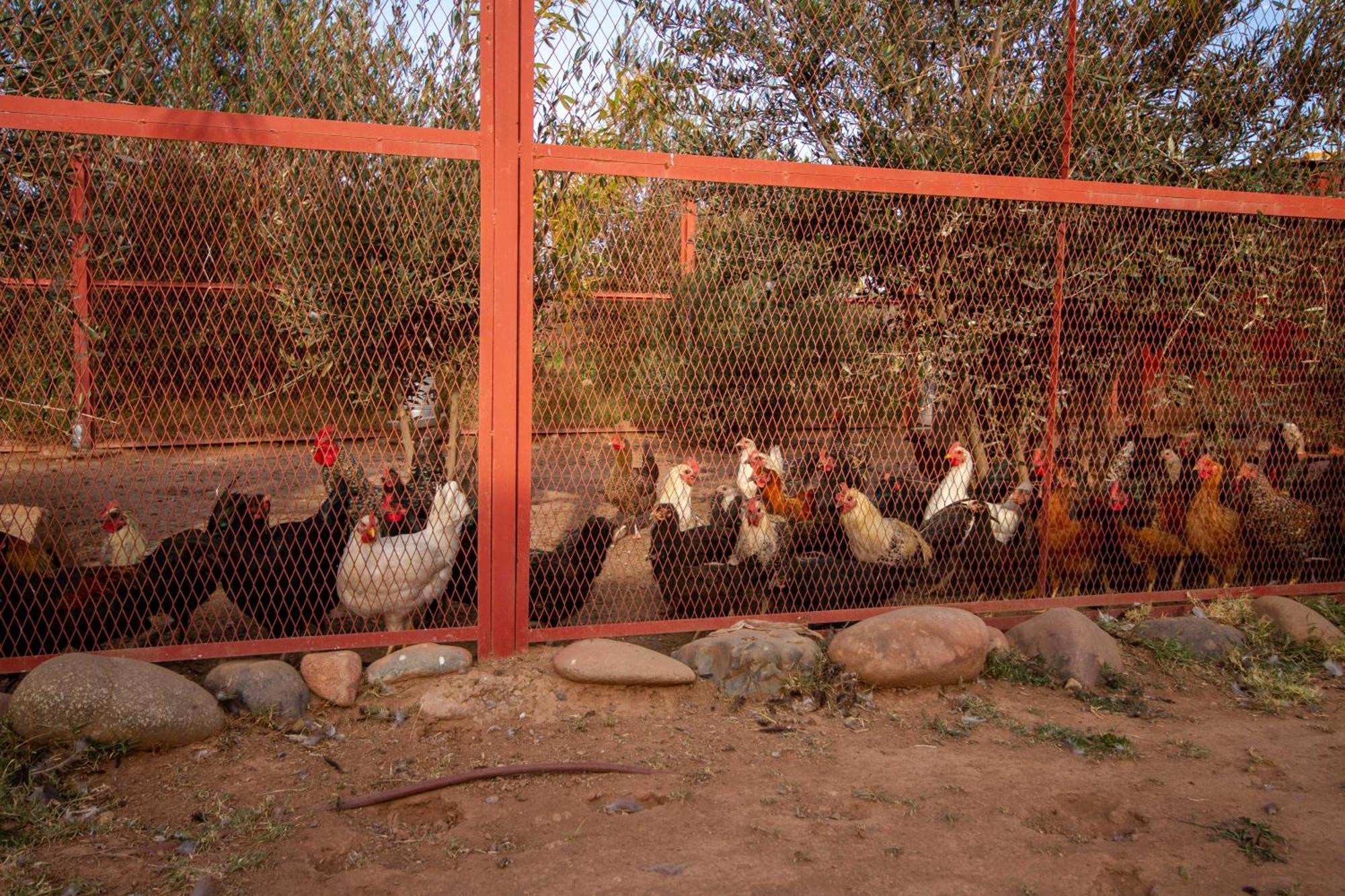 La Ferme De Lalladom Tameslouht Exterior photo